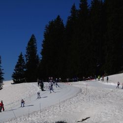 DSC 1102