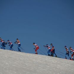 IMG 8475