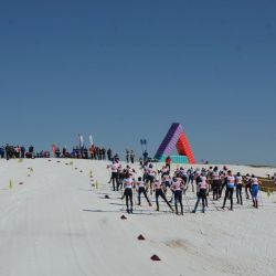 IMG 9259