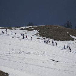 DSC5313