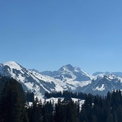 Swisscup 2025 2 0001 Min