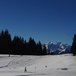 Swisscup 2025 2 0002 Min