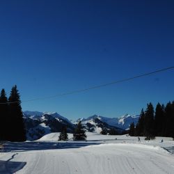 Swisscup 2025 2 0141 Min