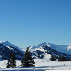 Swisscup 2025 2 0142 Min