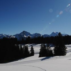 Swisscup 2025 2 0148 Min