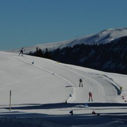 Swisscup 2025 2 0150 Min