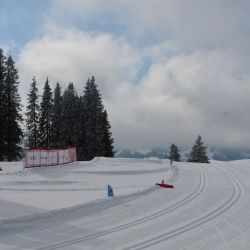 Swisscup 2025 1 0006 Min