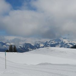 Swisscup 2025 1 0040 Min