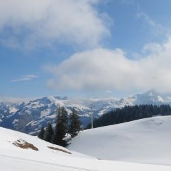 Swisscup 2025 1 0046 Min