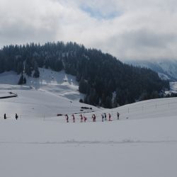 Swisscup 2025 1 0048 Min