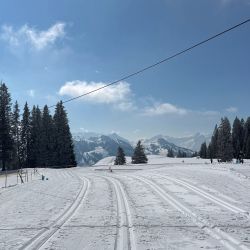 Swisscup 2025 1 0098 Min
